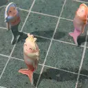 SunnyLifeDiveBuddiesSetOf3MelodyTheMermaid04_2880x.webp