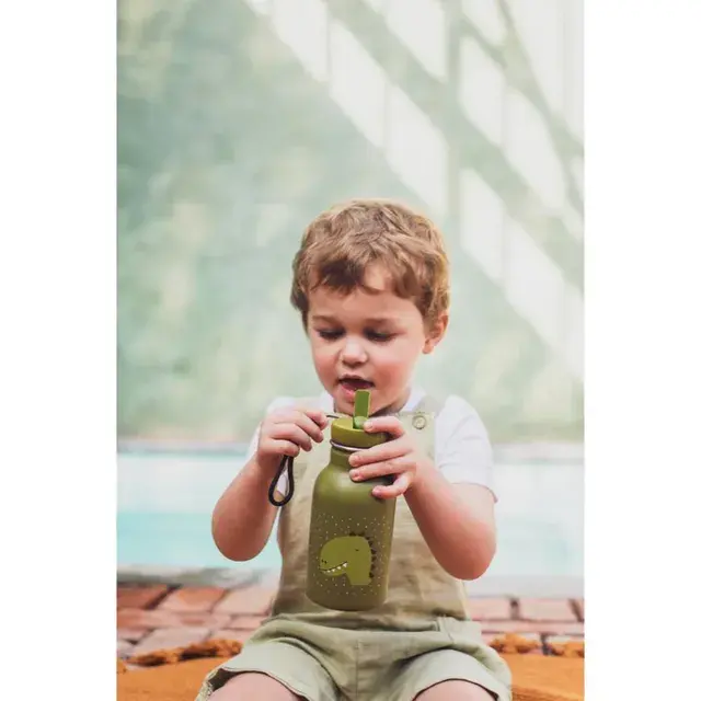 Trixie - Double Wall Insulated Water Bottle - Mr. Dino - 350ml...webp