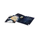 kidywolf-kidystar-galaxy.webp