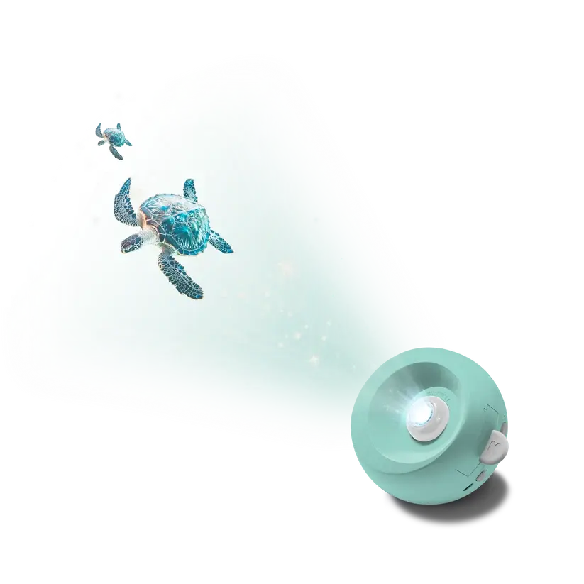 KIDYSTAR-GR-PROJECTION-01-01-1800.webp