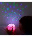 allc-projector-vlinder.webp
