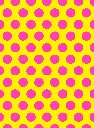 2223-3_900x.webp