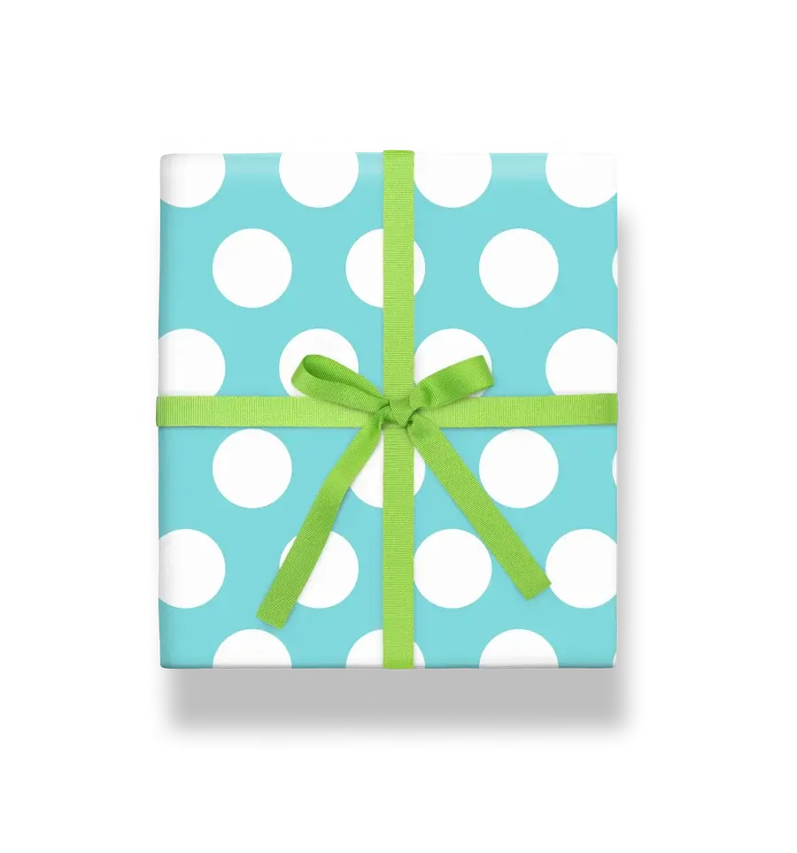 2223-2_900x.webp