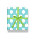 2223-2_900x.webp