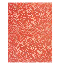 2505-3_900x.webp