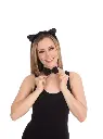 DS009-2_a83d229a-5231-490b-b337-26aa9e3e92d4.webp