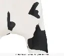 88419_06-Cow-child-costume-animals.webp