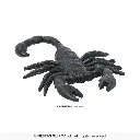 24624_02.webp