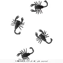 24624_14.webp
