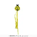 18776_08.webp