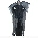 29877_14.webp