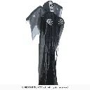29877_15.webp