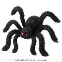 26985_16.webp