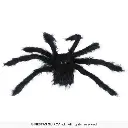 24499_18.webp
