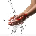15348_07.webp