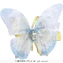 27391_11 (2).webp