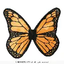 18391_08 (1).webp