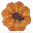26671_17.webp