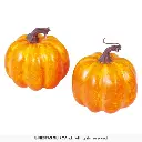 26671_15.webp