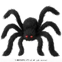 26983_17.webp