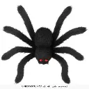 26983_15.webp