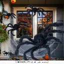 26984_07.webp