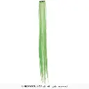 48135_08.webp