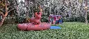 Inflatable-Bull-Ride-Rental-2.webp