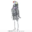 26531_15.webp