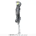 26531_17.webp