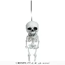 24875_14.webp