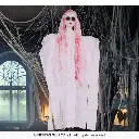 26734_07.webp