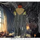 29001_07.webp