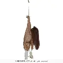29817_18.webp
