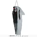 29802_15.webp
