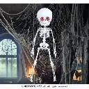 24406_07.webp