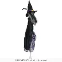 29760_17.webp