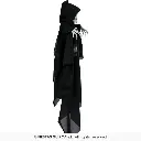 29775_17.webp