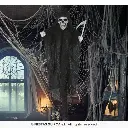 29017_07.webp