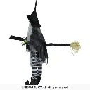 29828_17.webp