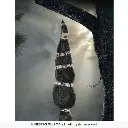 24817_14.webp