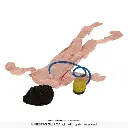 24817_03.webp