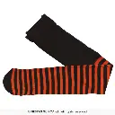 17221_10.webp