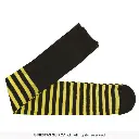 17217_10.webp