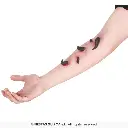 20400_07.webp