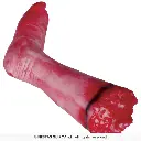 24616_18.webp
