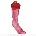 24616_14.webp