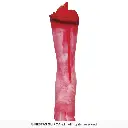 24616_15.webp