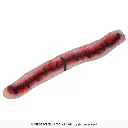 2057_08.webp