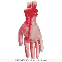 24615_18.webp